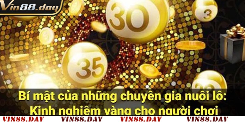 Mẹo nuôi lô đề có hiệu quả từ chuyên gia Vin88